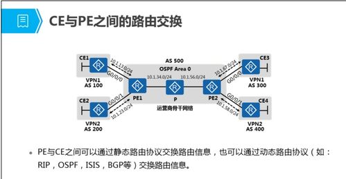 MPLS虛擬專用網(wǎng)絡(luò)技術(shù)原理與配置