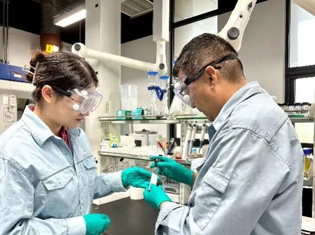 中國石化石科院生物基功能共聚酰胺彈性體入圍全國創(chuàng)新創(chuàng)業(yè)大賽決賽，引領(lǐng)防腐材料革新