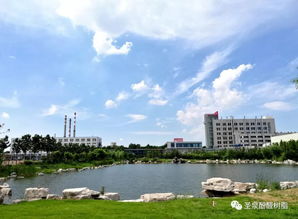 新材料技術(shù)研發(fā)新紀(jì)元 圣泉集團(tuán)誠(chéng)邀您共襄第21屆國(guó)際摩擦密封材料技術(shù)盛會(huì)